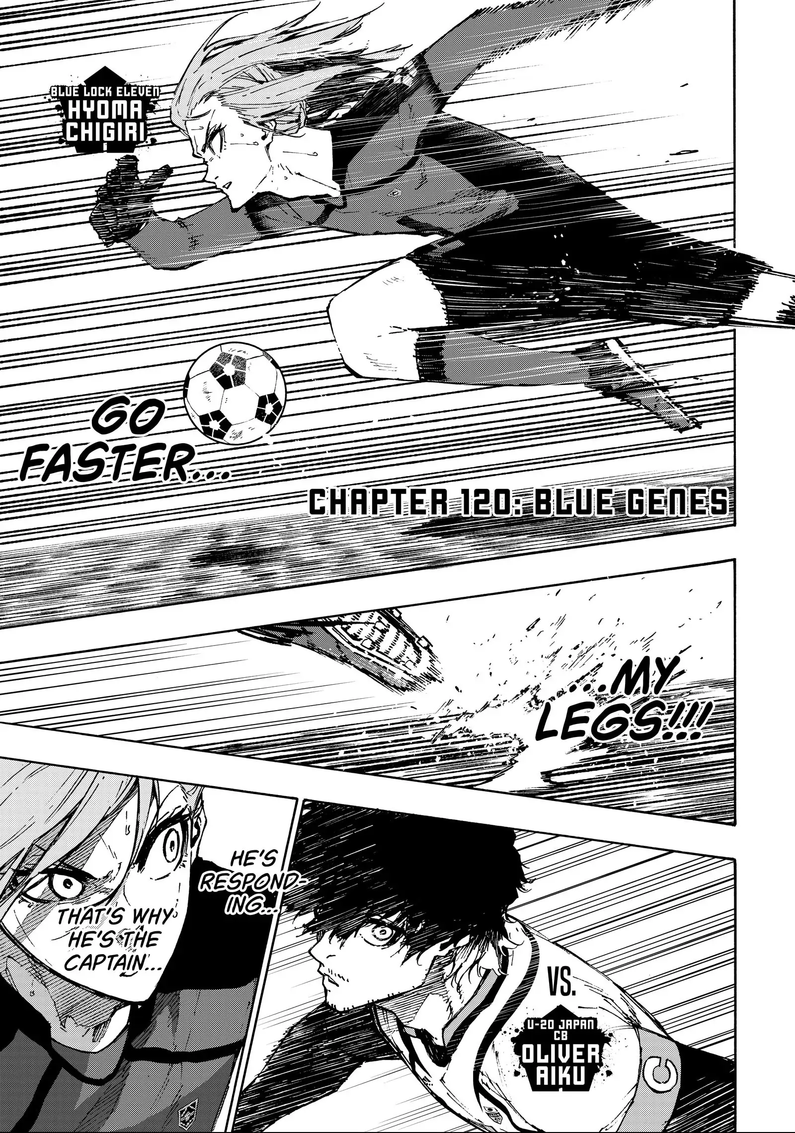 19017993 1600 2280 645262