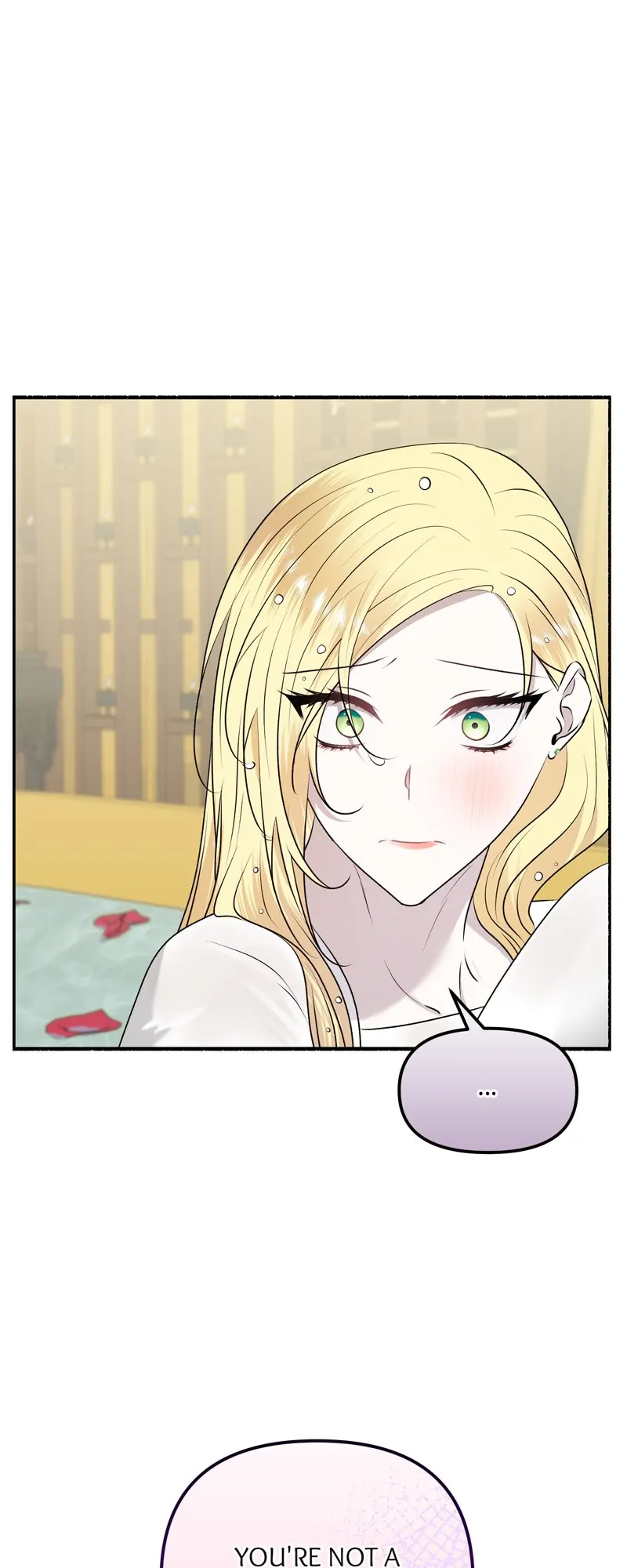 49862533 800 2000 64166