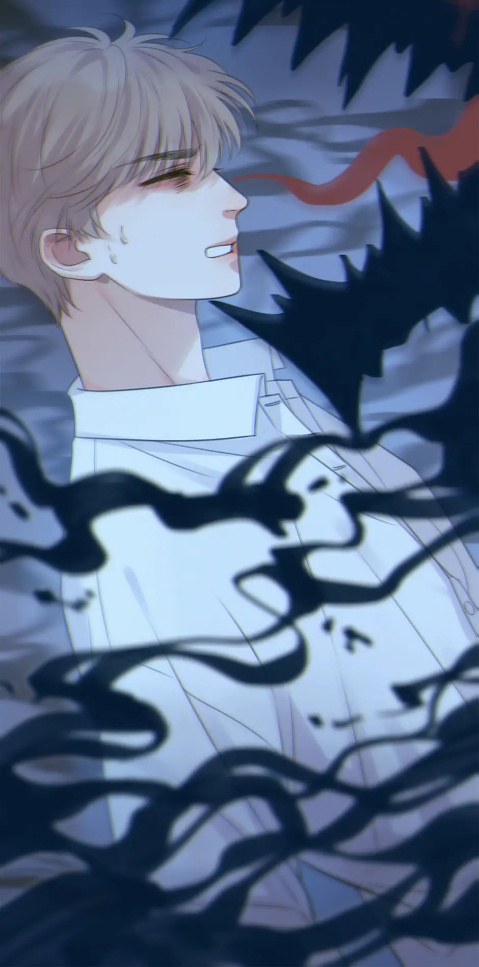 73371056 940 1895 51480