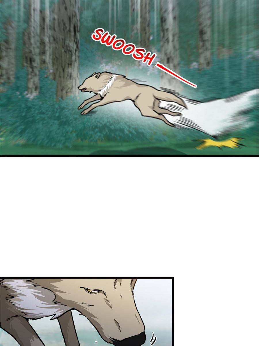 76599952 900 1200 74941